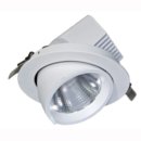 Downlight Spot 30W COB bis zu 45&deg; ausschwenkbar,...