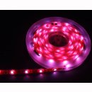 Flex Stripe RGB  30 SMD5050 LEDs/m, 12V, 7,2W/m,  IP65 sleeve (Schrumpfschlauch transparent)