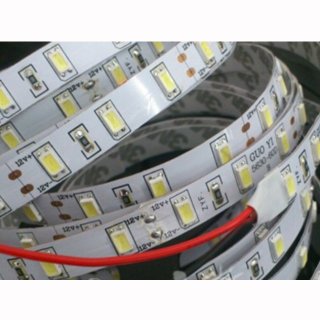 Flex Stripe SMD 5630/60 LEDs/m, 12V 20W/m IP20 / IP65