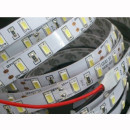 Flex Stripe SMD 5630/60 LEDs/m, 12V 20W/m IP20 / IP65 kaltwei&szlig; 6000K IP 65 mit PE Beschichtung