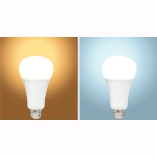 E27, LED- Kugelbirne, 12W, RGB+dualwei&szlig;(WW+KW), bedienbar mit 2.4G RF-Fernbedienung (23115540)