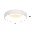 LED Deckenleuchte Ring, 48cm 40W 2700K, 3600Lm