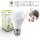 LED Lampe E27 7W A60 matt 4000K