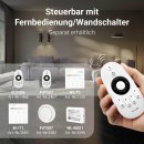 2.4G WiFi Single Color Controller (FUT036s) 4-Zonen,...