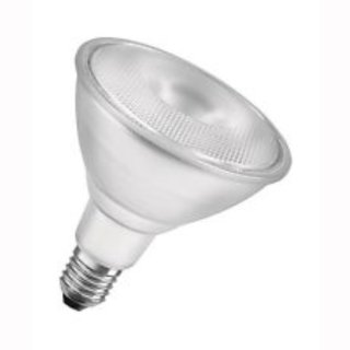 PAR38 LED 14W Spot, E27 30&deg; 2700K, dimmbar IP65