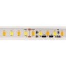 Flex Stripe SMD 3528/240 (2x120) LEDs/m, 24V 10,0W/m DTW 2200-4000K IP67