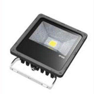 LED Floodlight  30W IP65 120&deg; 1x30W Bridgelux COB Professional mit Bewegungsmelder