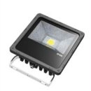 LED Floodlight  30W IP65 120&deg; 1x30W Bridgelux COB Professional mit Bewegungsmelder