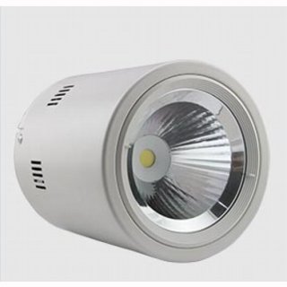 Downlight Aufbau LED, Brigdelux COB 20W, 38&deg;, Geh&auml;use wei&szlig;, 230V