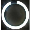 T8 LED-Ring-R&ouml;hre 20,5cm 10W Retrofit f&uuml;r KVG, high CRI&gt;80, milchweiss kaltwei&szlig; 6500K