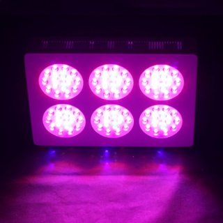 LED Wachstumslampe 270W IP54 Rot, Blau, Violett u. Wei&szlig;